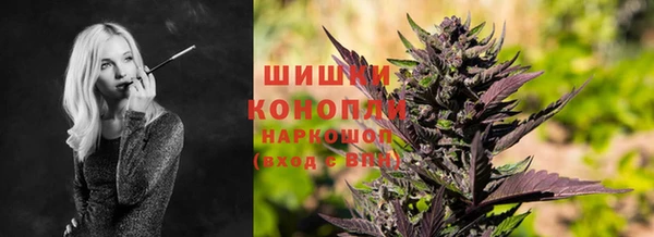 ECSTASY Абаза
