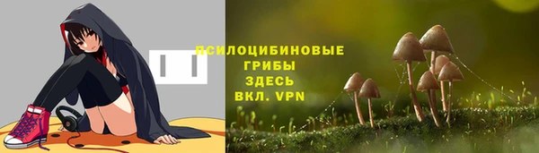 крисы Лабытнанги