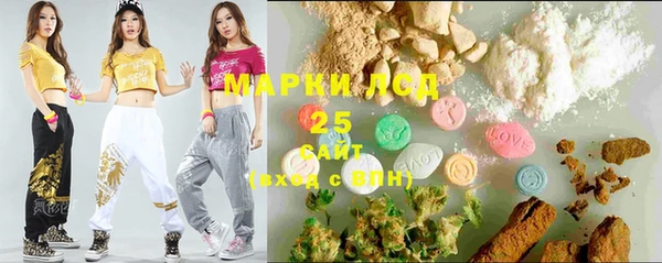 крисы Лабытнанги