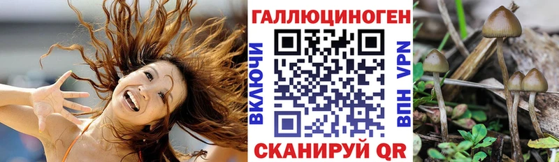 Галлюциногенные грибы прущие грибы наркота KRAKEN ССЫЛКА Новокузнецк